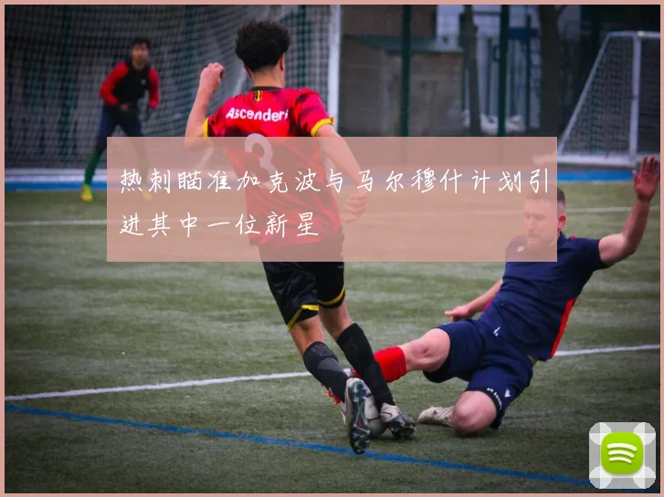 热刺瞄准加克波与马尔穆什计划引进其中一位新星