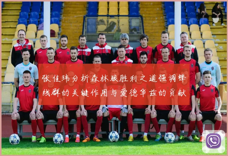 张佳玮分析森林狼胜利之道强调锋线群的关键作用与爱德华兹的贡献